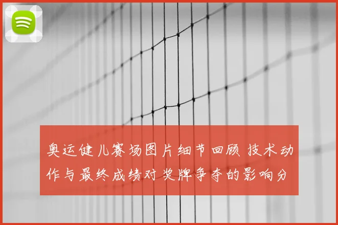 奥运健儿赛场图片细节回顾 技术动作与最终成绩对奖牌争夺的影响分析