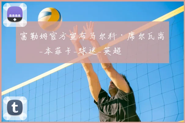 富勒姆官方宣布马尔科·席尔瓦离任_本菲卡_球迷_英超