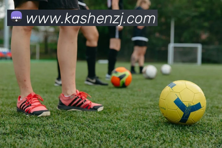 华体网首页官网APP 封面图